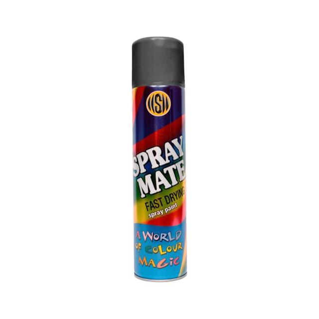 Spray Paint 250ml Assorted
